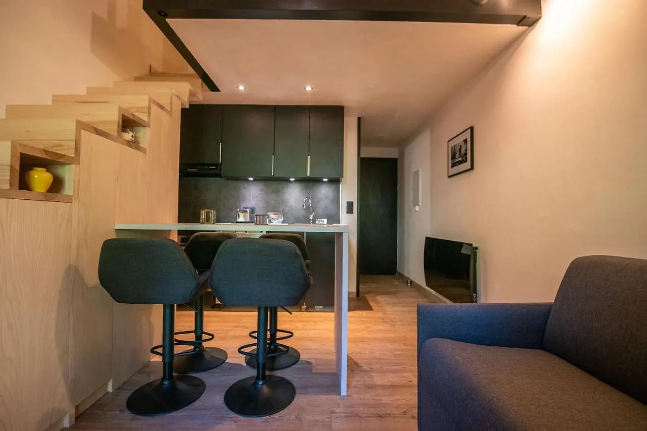 Grand Studio Mezzanine A 200 Metres Des Pistes Appartement Demi-Quartier