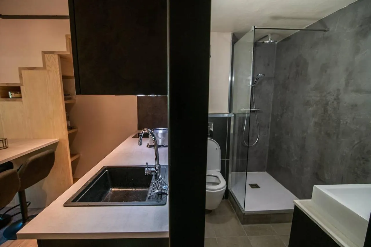 Grand Studio Mezzanine A 200 Metres Des Pistes Appartement Demi-Quartier
