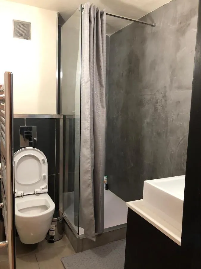 Grand Studio Mezzanine A 200 Metres Des Pistes Appartement Demi-Quartier 0*,